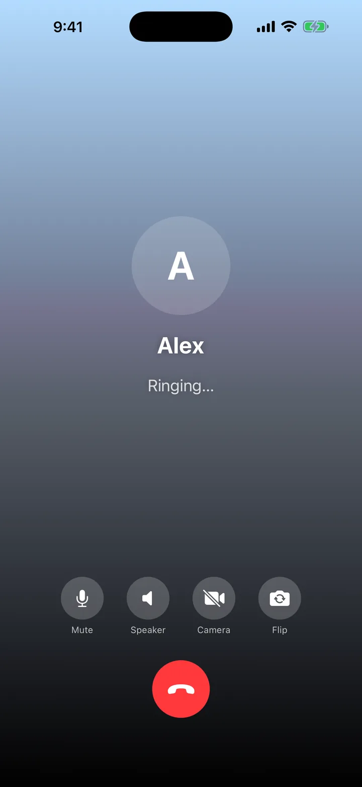 A video call in Dialr